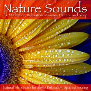 Nature Sounds for Meditation, Relaxation, Massage Therapy and Sleep - Natural White Noise for Sleep, Relaxation, Spa and Healing