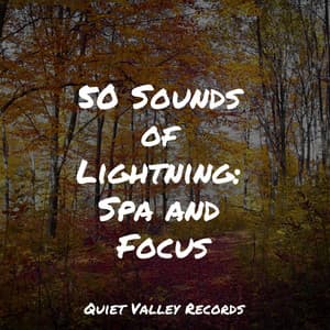 50 Sounds of Lightning: Spa and Focus - Sons da Natureza Relax