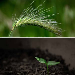 Music for Chilly Years - Hotel Jazz