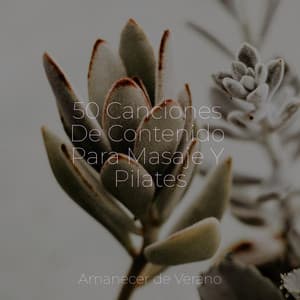 50 Canciones De Contenido Para Masaje Y Pilates - Música Instrumental Maestro