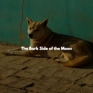 The Bark Side of the Moon - Jazz Romántica para Hoteles