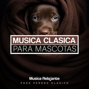Musica Clasica para Mascotas - Musica Relajante para Perros Clasico