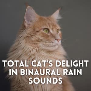 Total Cat's Delight in Binaural Rain Sounds - Binaural Beats Pure