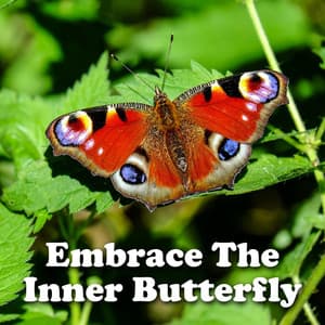 Embrace The Inner Butterfly - Meditation Zen Master