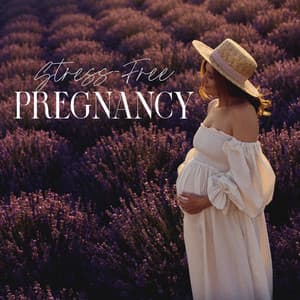 Stress-Free Pregnancy - Peaceful Pregnancy Musical Kit