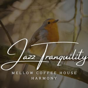 Jazz Tranquility: Coffee Shop Lounge - Coffee Shop Jazz Radio