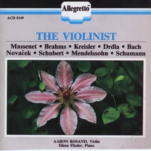 The Violinist - Eileen Flissler