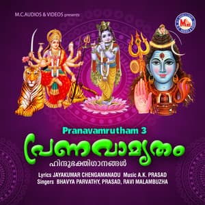 Pranavamrutham 3 - Bhavya Parvathy