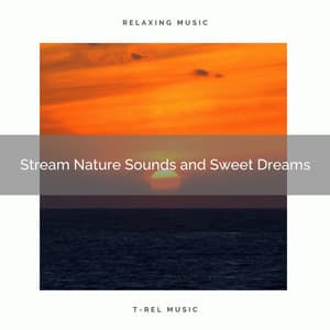 Stream Nature Sounds and Sweet Dreams - Natural Woodland Sounds