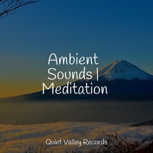 Ambient Sounds | Meditation - Especialistas de Musica para Dormir