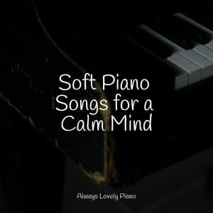 50 Comforting Summer Music Collection - Piano Suave Relajante
