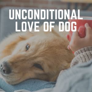 Unconditional Love of Dog - Music for Calming Dogs