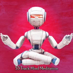 53 Track Mind Meditation - Zen Mechanics
