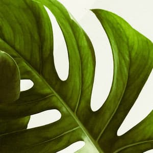 1 Meditative Night: Energy Fields - between waves