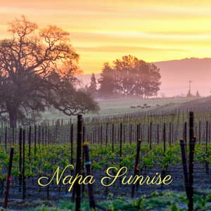 Napa Sunrise - Yoga Sounds