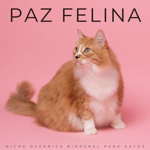 Paz Felina: Dicha Oceánica Binaural Para Gatos - Domingos por el Océano