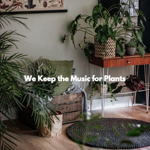 We Keep the Music for Plants - Dinner Jazz Playlist
