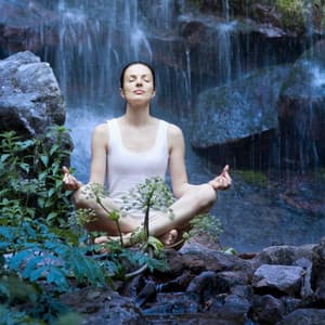 Nature's Waterfall Meditation Oasis: Bird Song's Calm and Peaceful Harmony - Relating Noises