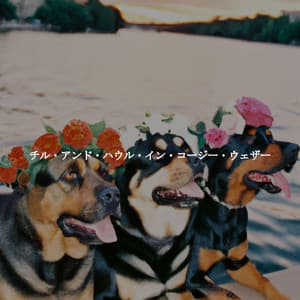 チル・アンド・ハウル・イン・コージー・ウェザー - Chilled Jazz Cafe BGM Channel