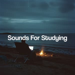 Sounds For Studying - Relajacion Del Mar