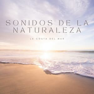 Sonidos De La Naturaleza: La Costa Del Mar - Música de Concentración