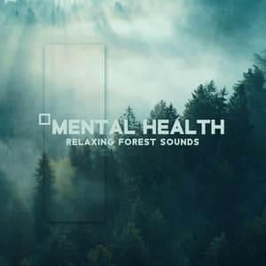 Mental Health: Relaxing Forest Sounds, Deep Meditation Awareness - Forest Hills Music Universe