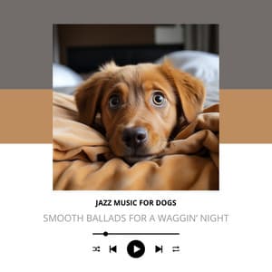 Smooth Ballads for a Waggin’ Night - Jazz Music for Dogs