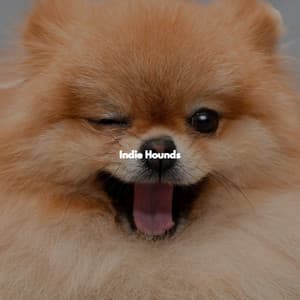 Indie Hounds - Coffee Shop Smooth Jazz