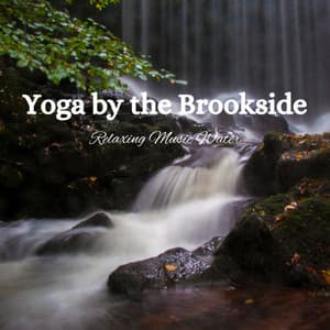 Yoga by the Brookside: Relaxing Music Water - Some Music