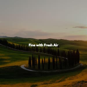 Fine with Fresh Air - Musica para Estudiar Playlist