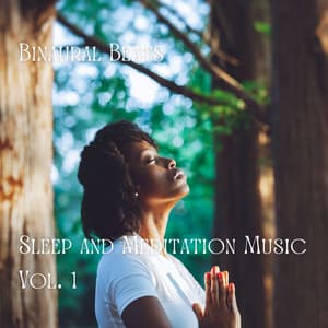 Binaural Beats: Sleep and Meditation Music Vol. 1 - Binaural Beats System
