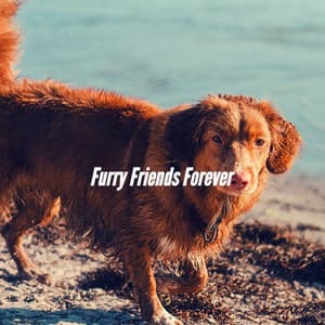 Furry Friends Forever - Relaxmydog