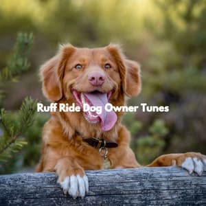 Ruff Ride Dog Owner Tunes - Dog Music Radio