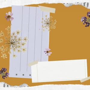 Remarkable Bossa Guitar Trio - Ambiance for Cooling Down - Lunch Time Jazz