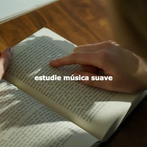 estudie música suave - Restaurante Clásico Jazz