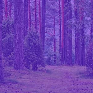 Jazz Guitar Solo - Bgm for Taking Notes - Jazz Romántica para Hoteles