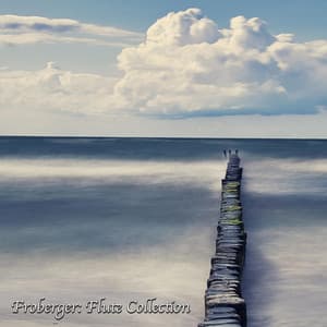 Froberger: Flute Collection - Johann Jakob Froberger