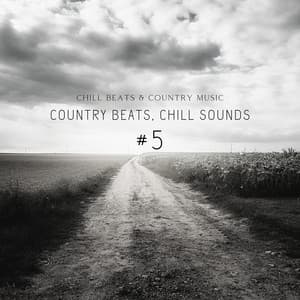 Country Beats, Chill Sounds #5 - Chill Beats & Country Music
