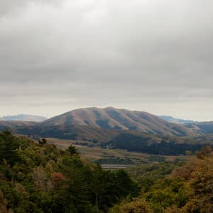 Mount Wittenberg Orca - Dirty Projectors