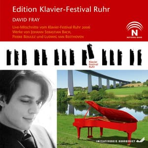 David Fray - David Fray