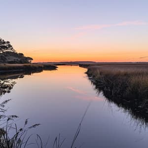 Relajación Serena: Música Relajante Para Momentos Pacíficos - Tranquilidad