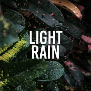 Light Rain - White Noise Therapy