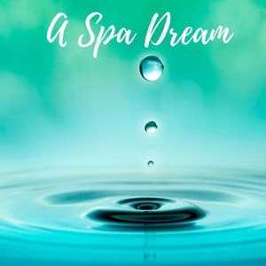 A Spa Dream - Masala Roo