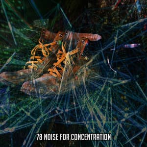 78 Noise for Concentration - Japanese Relaxation And Meditation