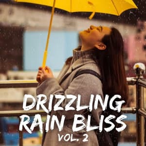 Drizzling Rain Bliss Vol. 2 - Relaxing Fields