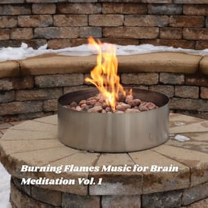 Burning Flames Music for Brain Meditation Vol. 1 - Music for Relaxing Cats