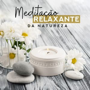 Meditação Relaxante da Natureza: Equilíbrio Interno, Mente Calma, Harmonia Profunda, Redução de Estresse, Sons Espirituais, Meditação Relaxante, Sons da Natureza, Paz Tranquila - Relaxar Meditação Clube