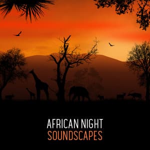 African Night Soundscapes: Relaxing Drum Session, Ethnic Atmosphere, Spiritual Trance - African Wild World