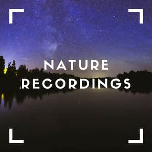 Collection Of Waterfalls - Natural Sample Makers