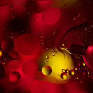 Music for Easy Summers - Coffee Shop Jazz Radio